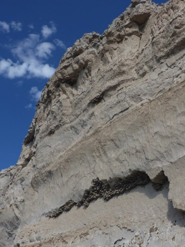 30 - Swallow Nests on 
Register Cliff